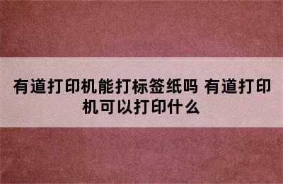 有道打印机能打标签纸吗 有道打印机可以打印什么